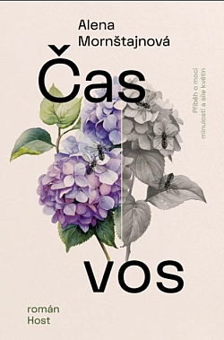 Alena Mornštajnová: Čas vos